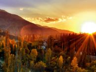 Der Wunsch nach Liebe Frieden Harmonie