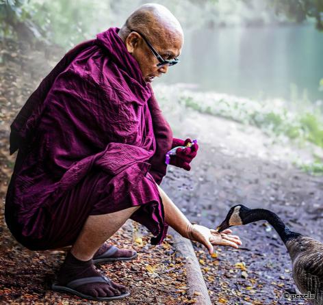 Mitgefühl versus Mitleid