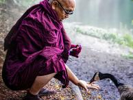 Mitgefühl versus Mitleid