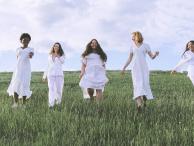 Kann das Bewusstsein vieler Menschen ein einheitliches Feld erzeugen?