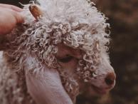 Was benötigt das Gehirn, um Frieden denken zu können?