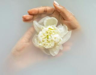 Transformiere deinen Ärger